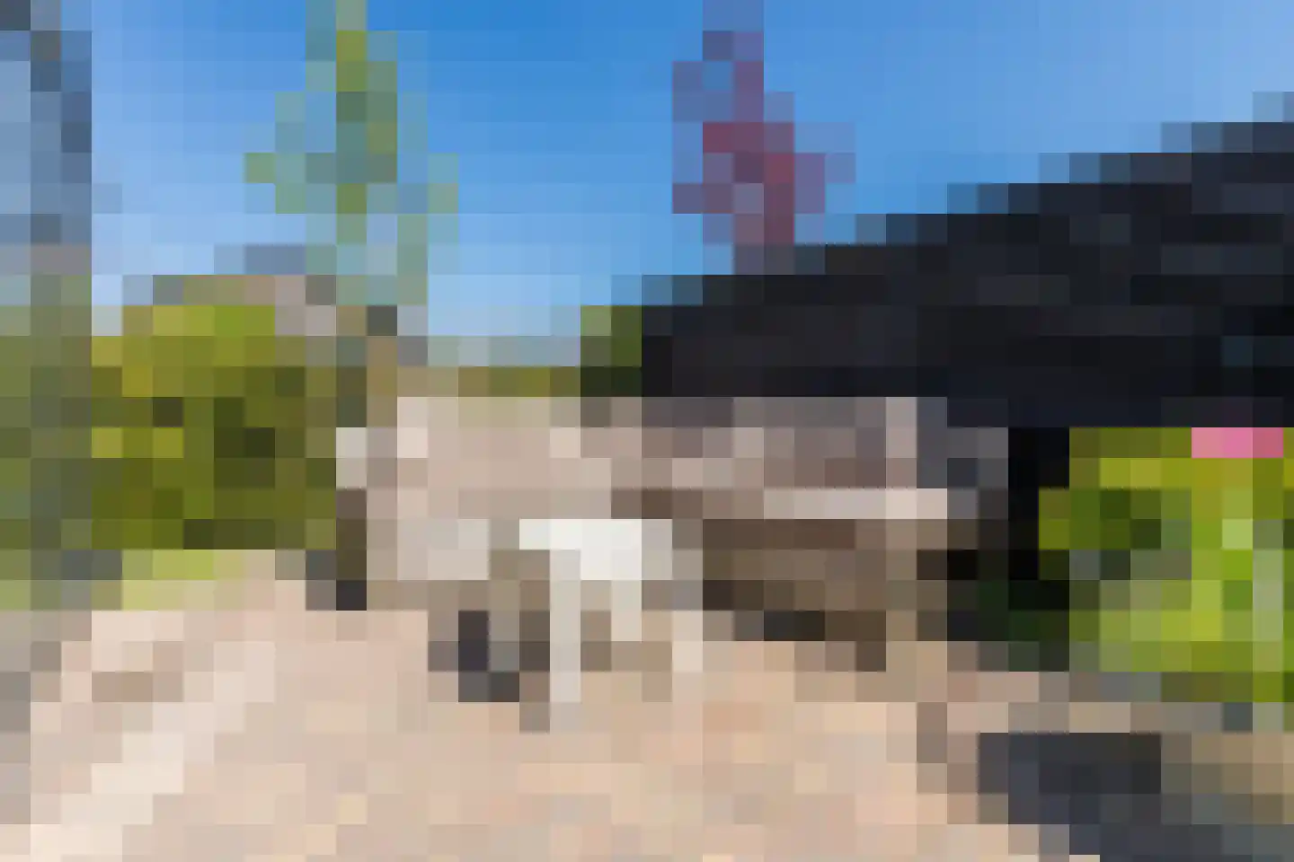 Laarweg 29 Velp thumbnail 53