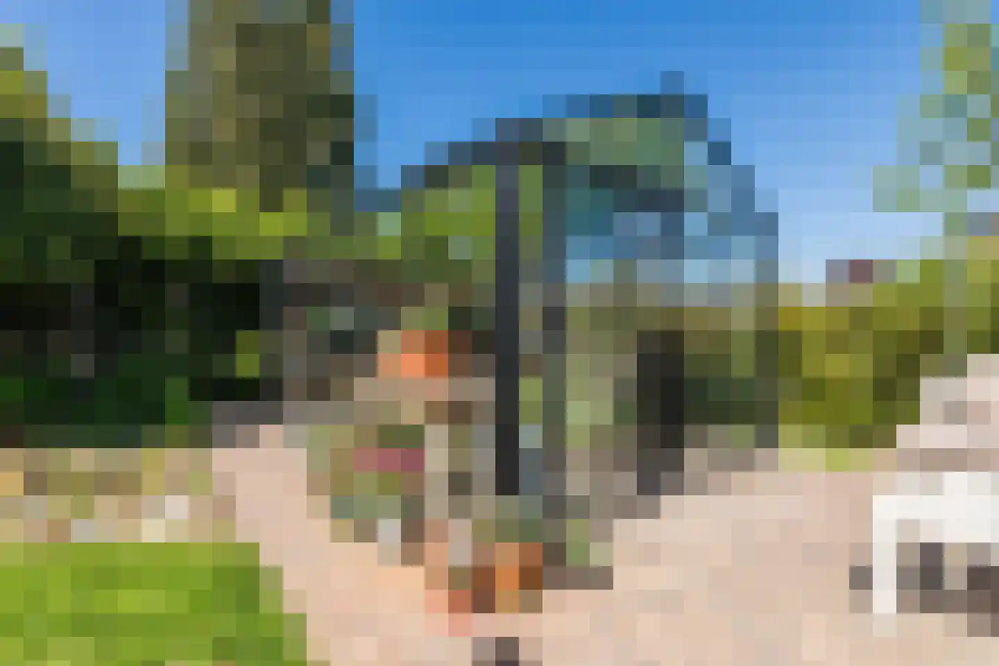 Laarweg 29 Velp thumbnail 54