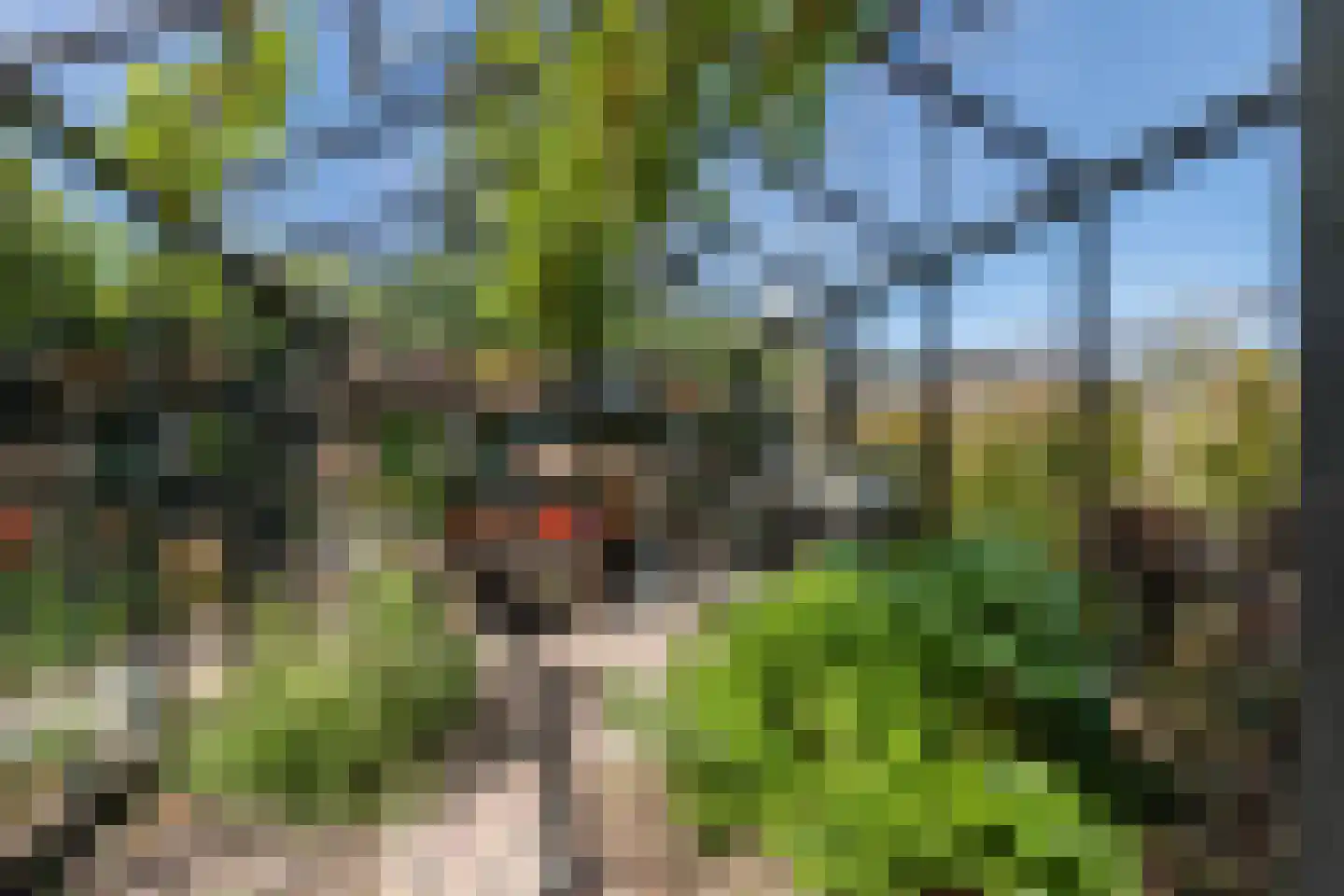 Laarweg 29 Velp thumbnail 55