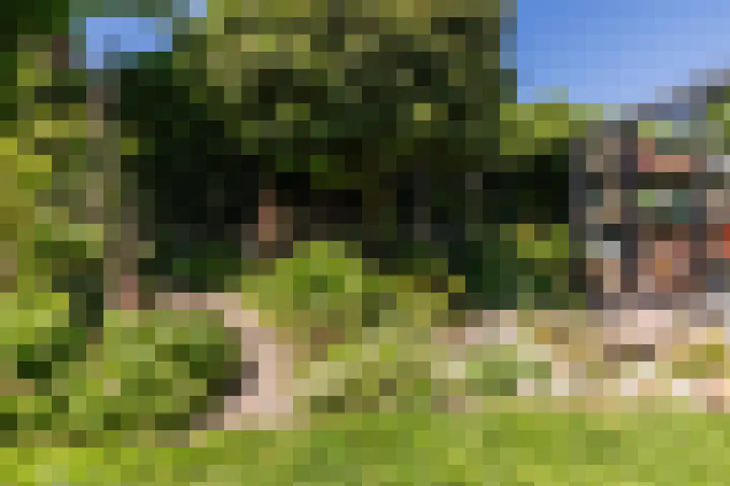 Laarweg 29 Velp thumbnail 56