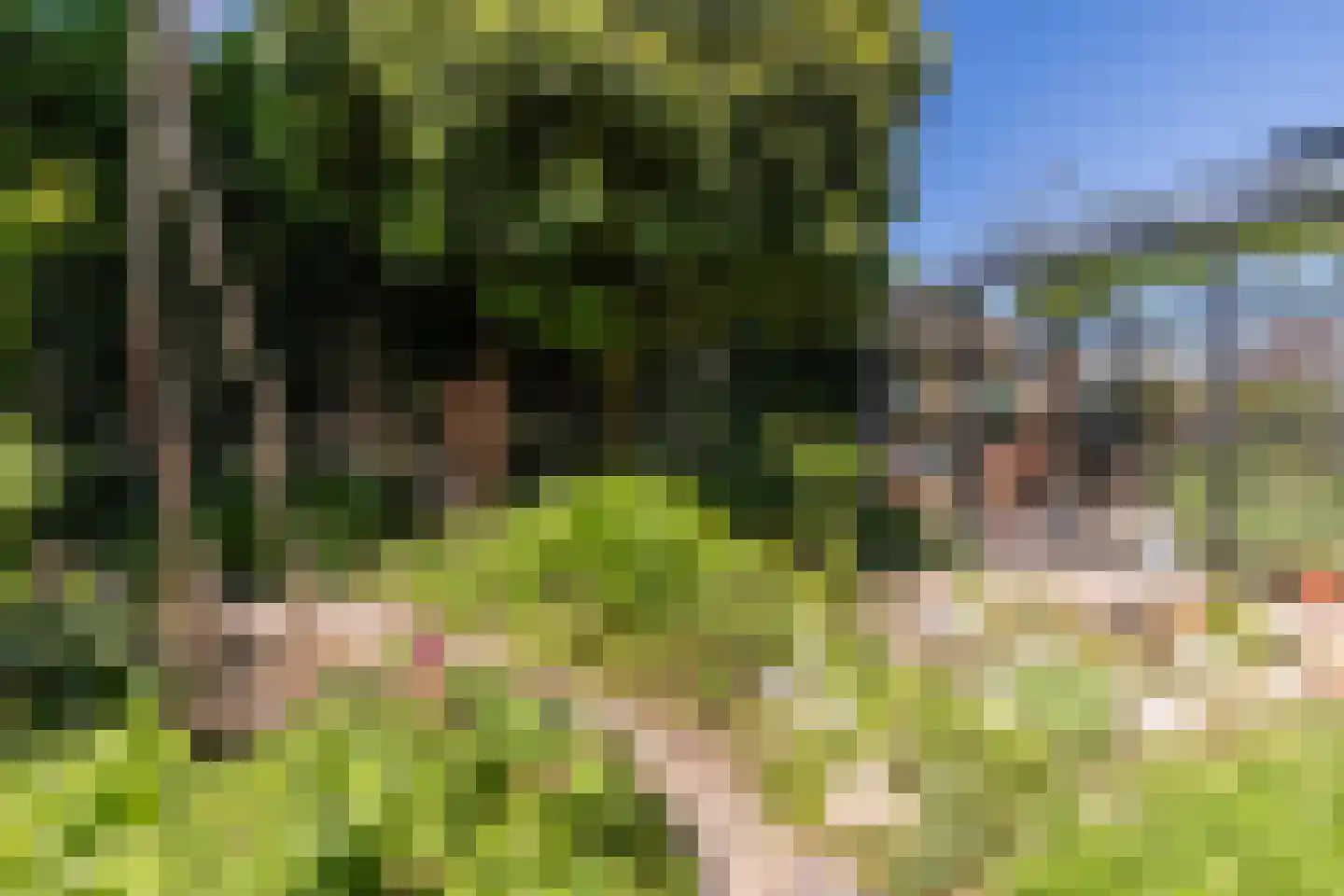 Laarweg 29 Velp thumbnail 57