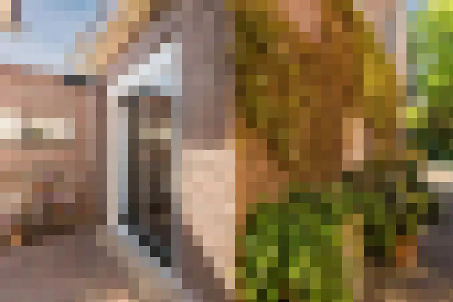 Laarweg 29 Velp thumbnail 60