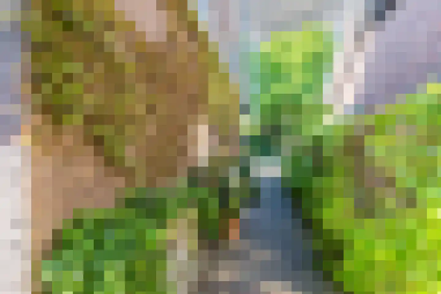 Laarweg 29 Velp thumbnail 61
