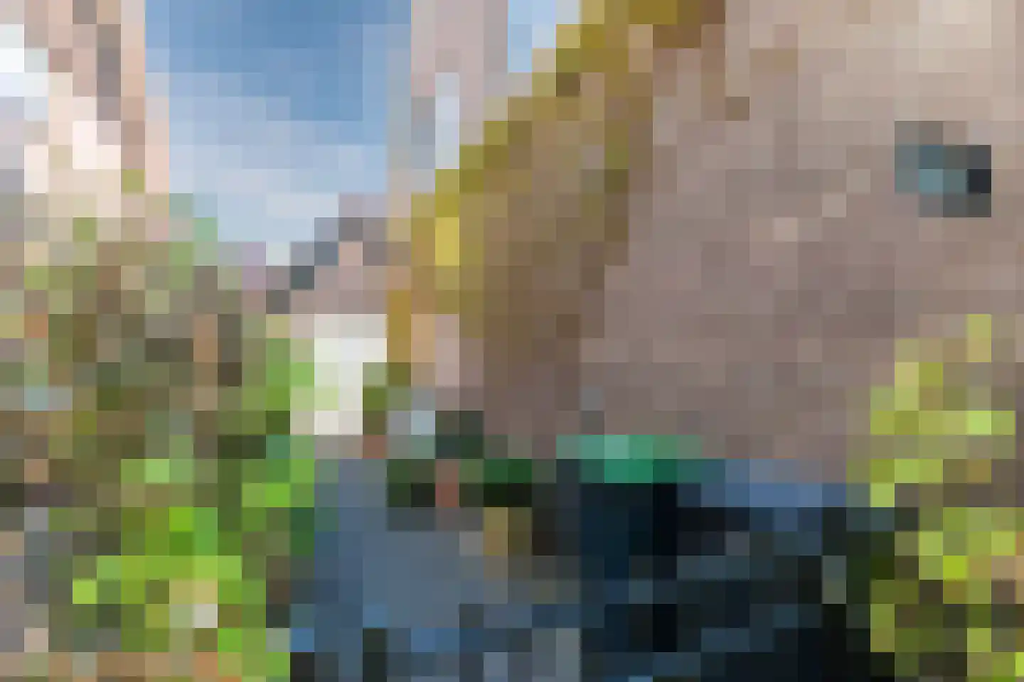 Laarweg 29 Velp thumbnail 62