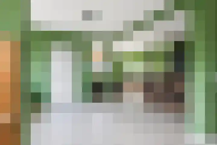Laarweg 3 Herwijnen thumbnail 10