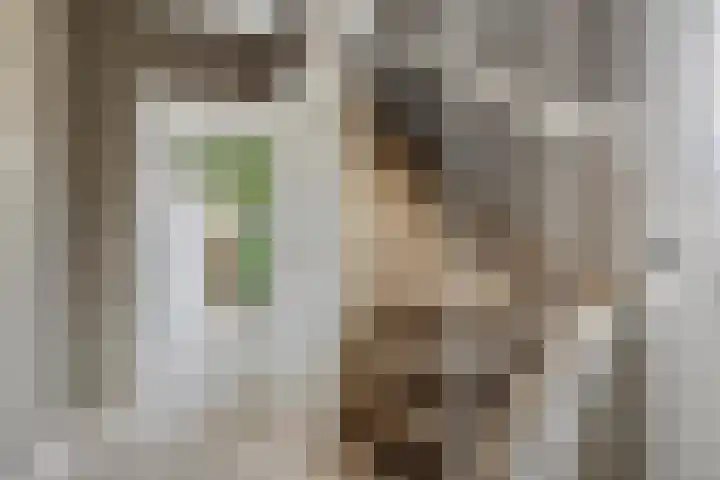 Laarweg 3 Herwijnen thumbnail 17
