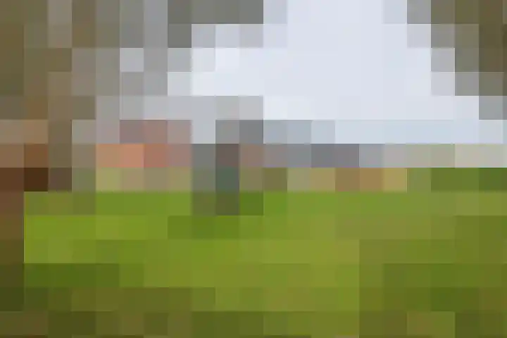 Laarweg 3 Herwijnen foto 2