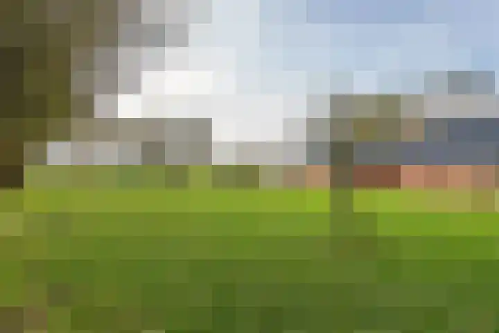 Laarweg 3 Herwijnen thumbnail 32