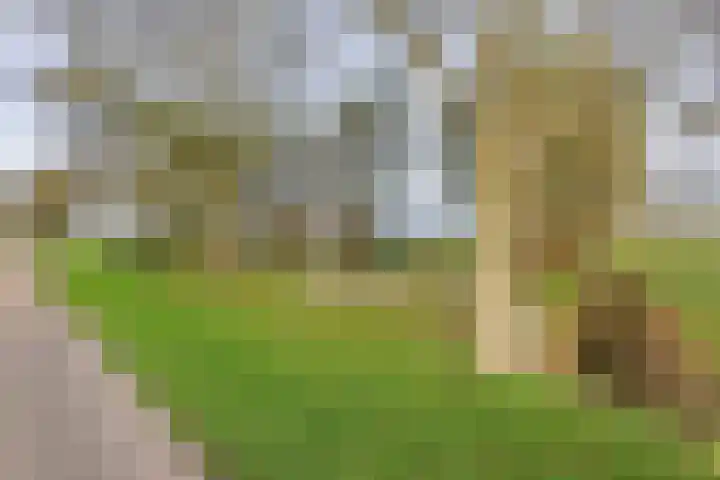 Laarweg 3 Herwijnen thumbnail 42