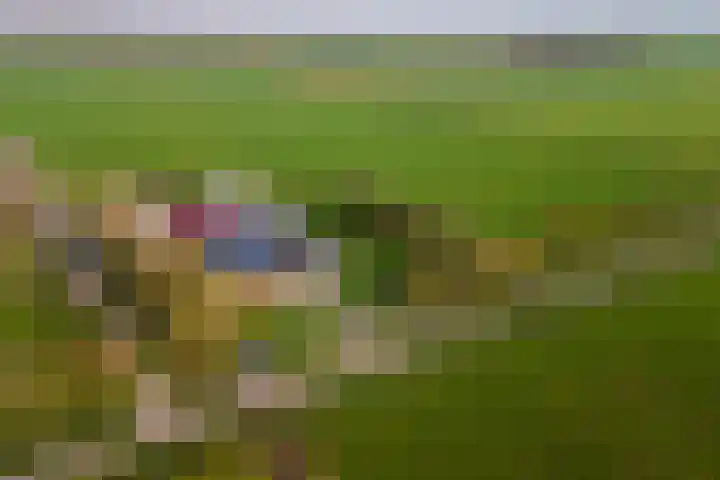 Laarweg 3 Herwijnen thumbnail 43