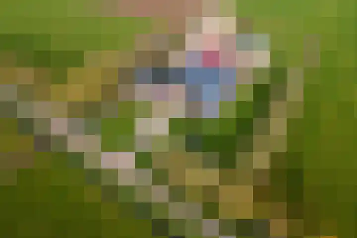 Laarweg 3 Herwijnen thumbnail 44
