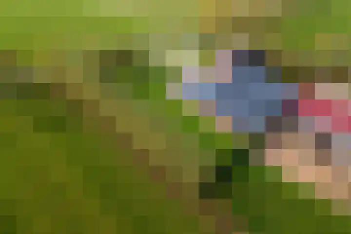 Laarweg 3 Herwijnen thumbnail 45