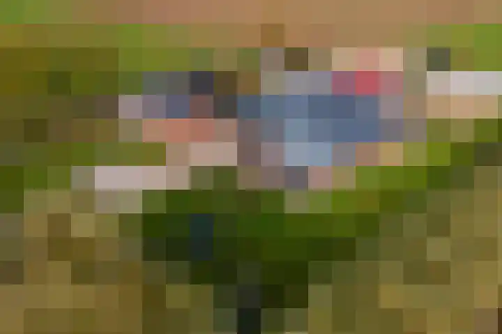 Laarweg 3 Herwijnen thumbnail 47