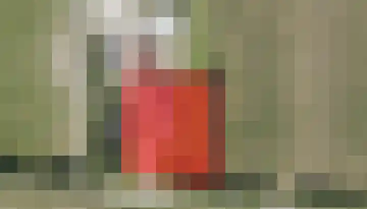 Laarweg 3 Herwijnen thumbnail 48