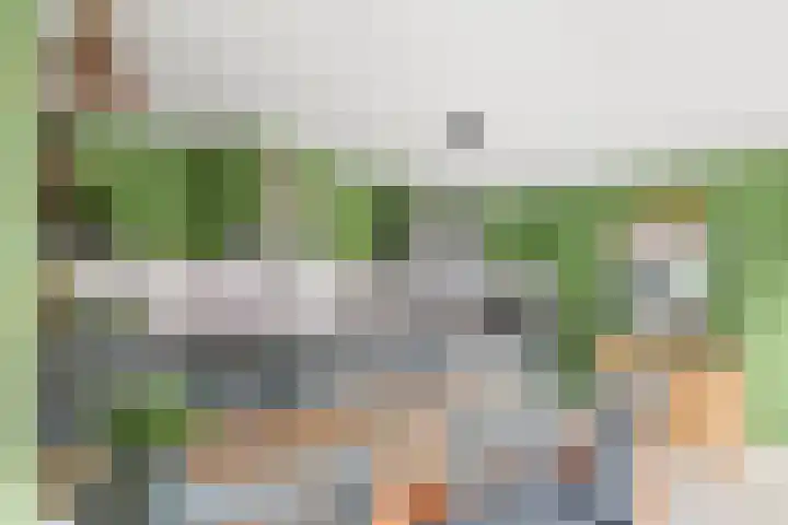 Laarweg 3 Herwijnen thumbnail 6