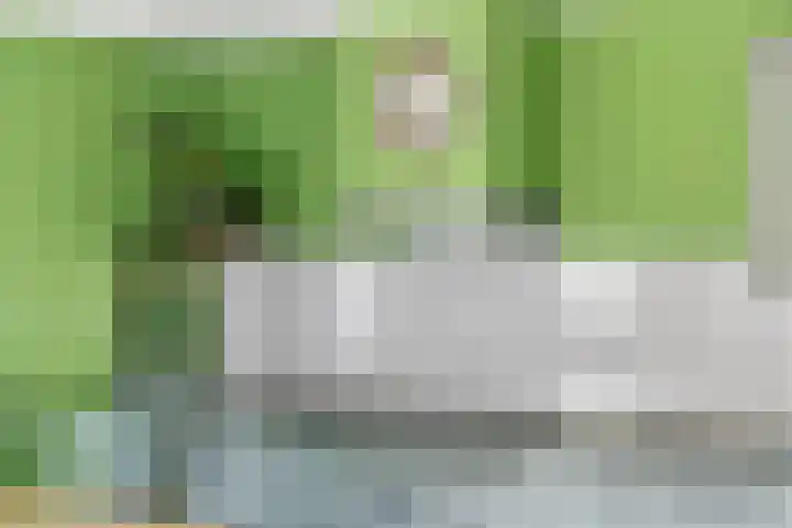Laarweg 3 Herwijnen thumbnail 8