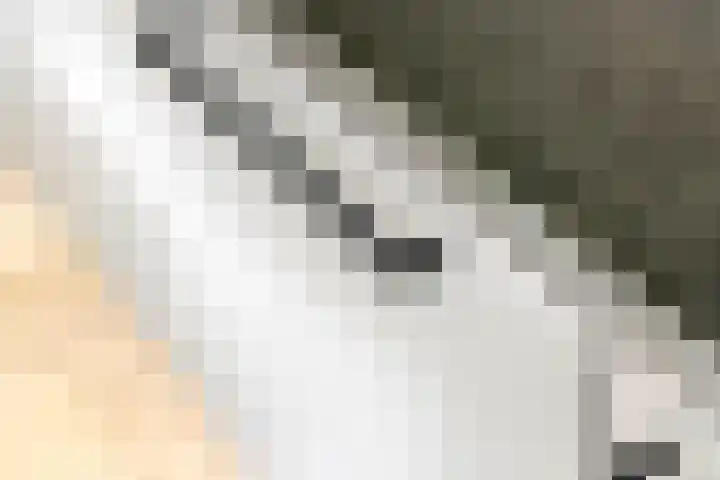 Laarweg 3 Herwijnen thumbnail 9