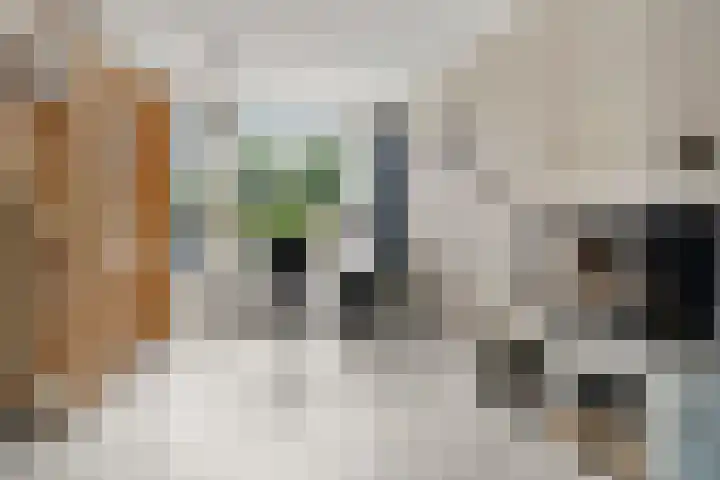 Laarweg 30 Bennekom thumbnail 10