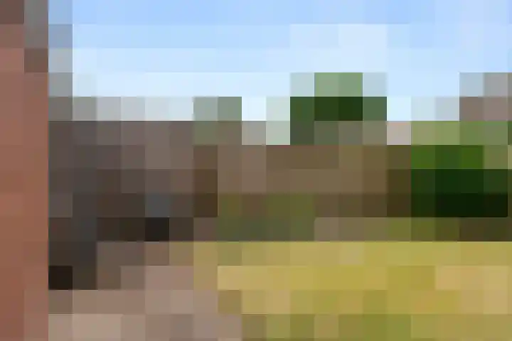 Laarweg 30 Bennekom thumbnail 29