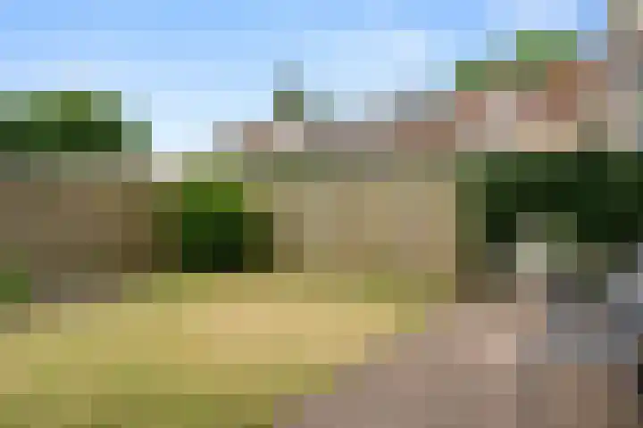 Laarweg 30 Bennekom thumbnail 30