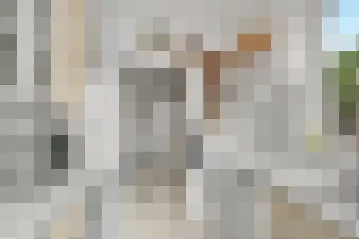 Laarweg 30 Bennekom thumbnail 8