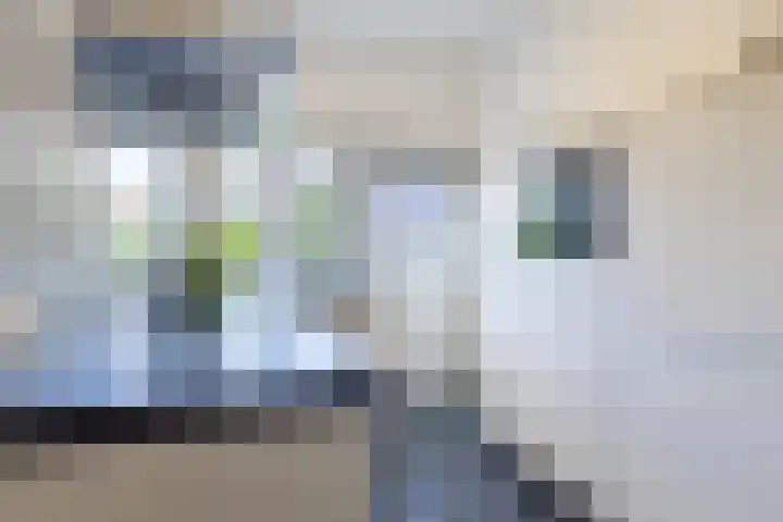 Laarweg 41 Velp thumbnail 14