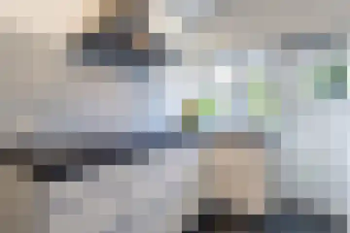 Laarweg 41 Velp thumbnail 15
