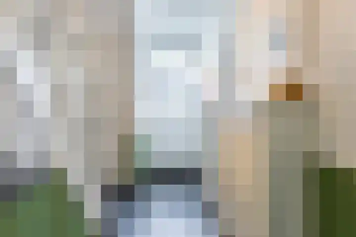 Laarweg 41 Velp thumbnail 17