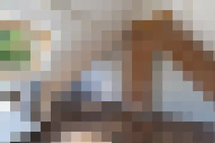 Laarweg 41 Velp thumbnail 32