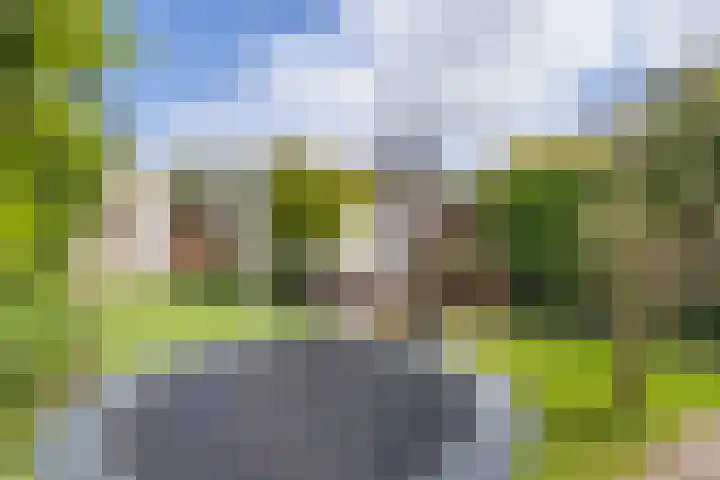 Laarweg 41 Velp thumbnail 35
