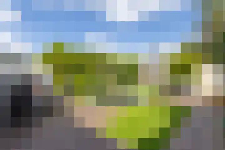 Laarweg 41 Velp thumbnail 4