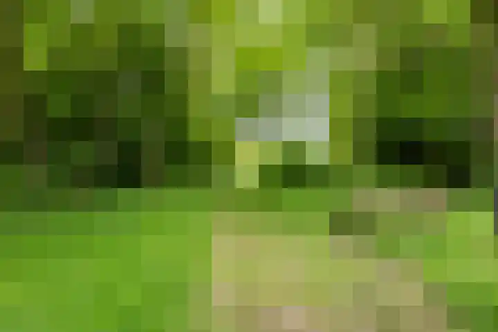 Laarweg 41 Velp thumbnail 40