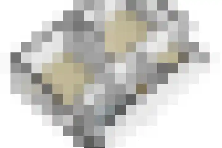 Laarweg 41 Velp thumbnail 48