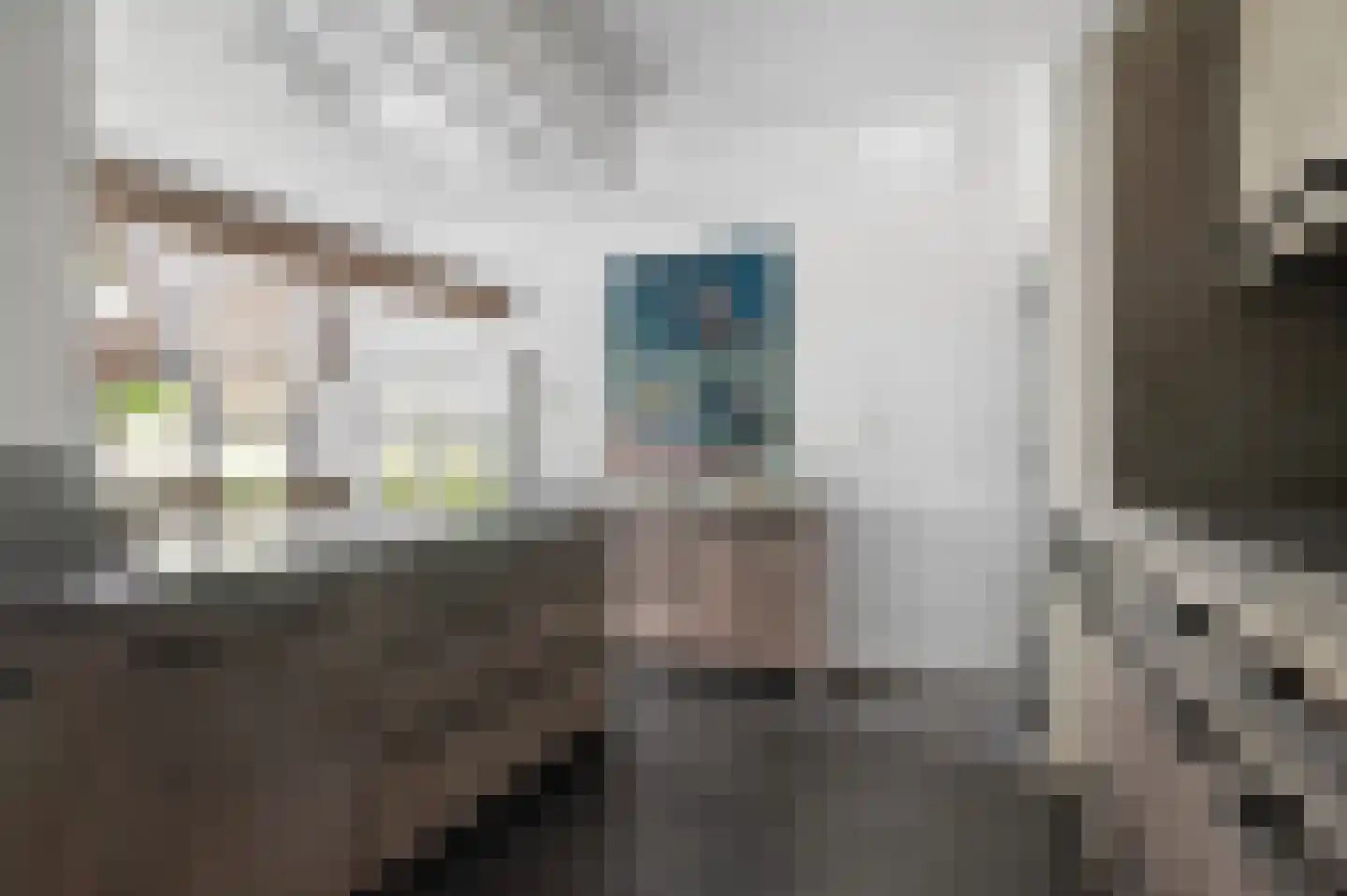 Laarweg 66 Harskamp thumbnail 11