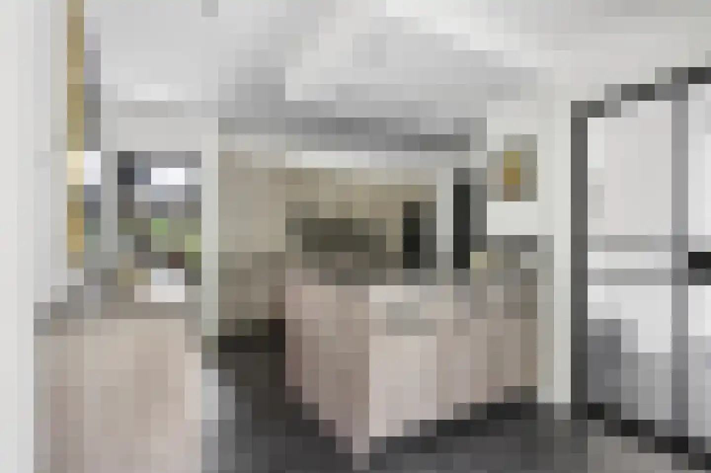 Laarweg 66 Harskamp thumbnail 13