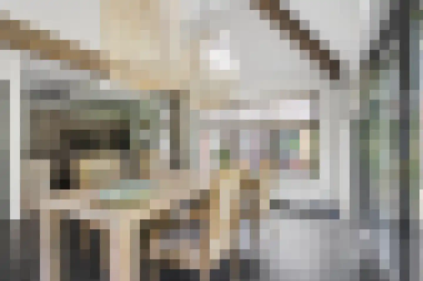 Laarweg 66 Harskamp thumbnail 14