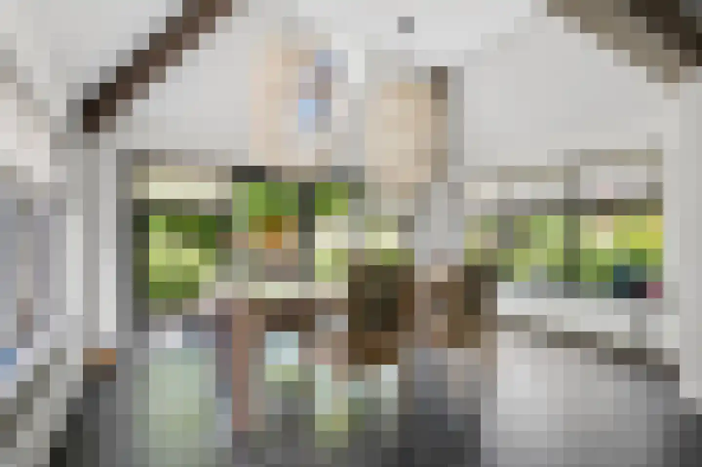 Laarweg 66 Harskamp thumbnail 16