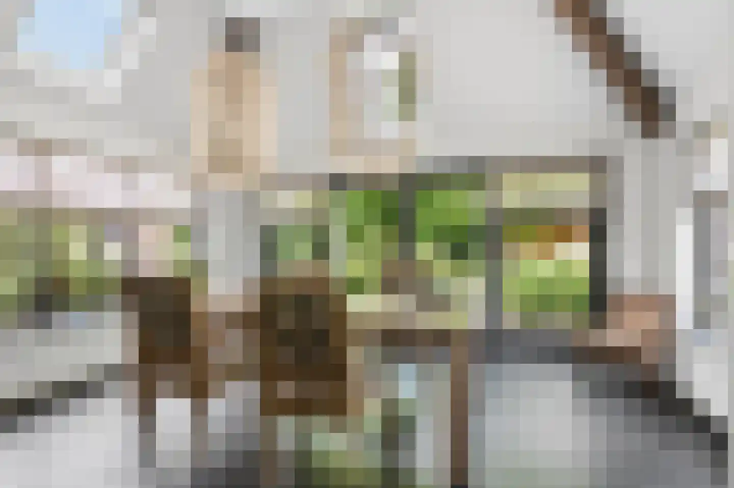 Laarweg 66 Harskamp thumbnail 17
