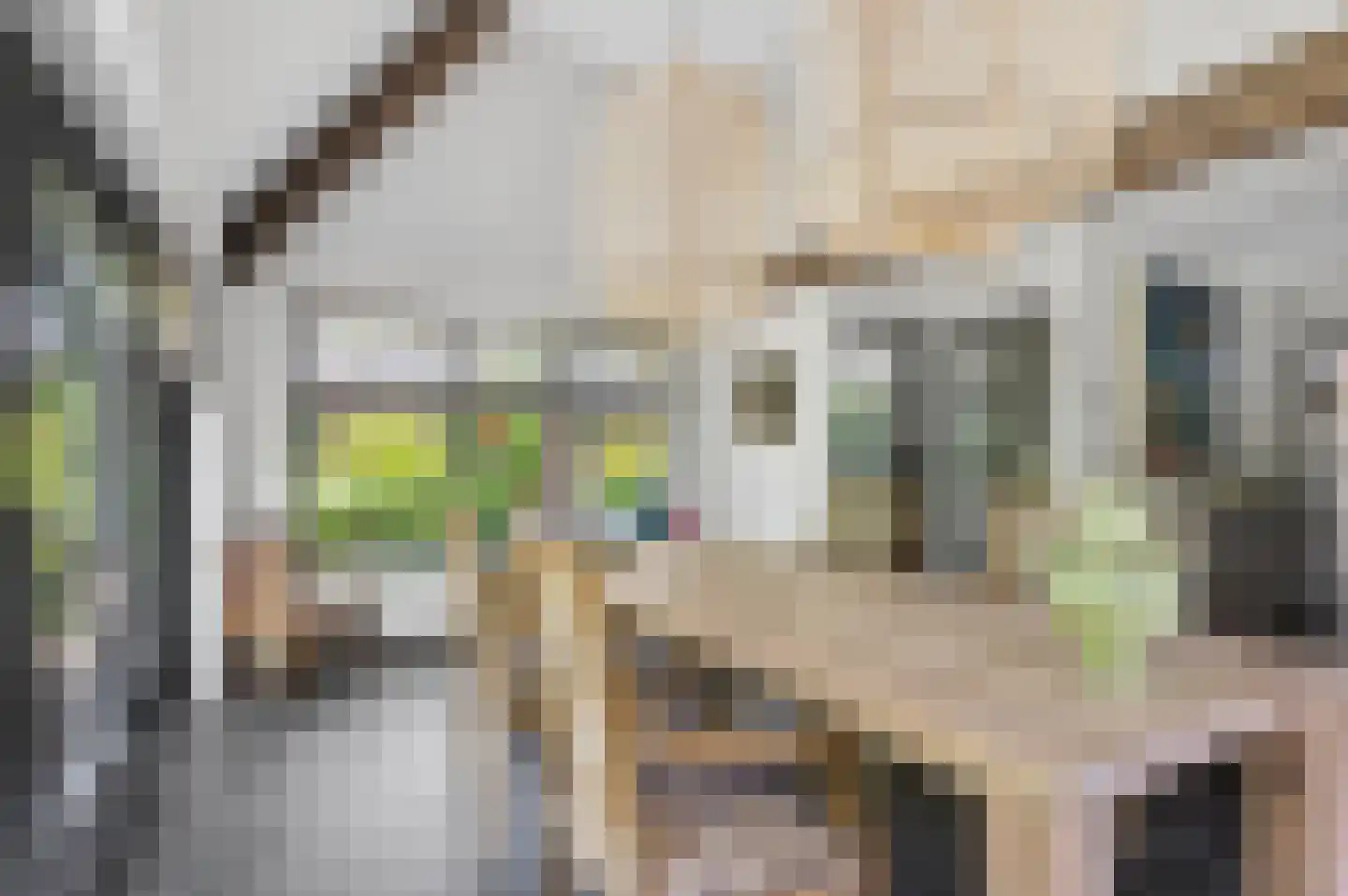 Laarweg 66 Harskamp thumbnail 18