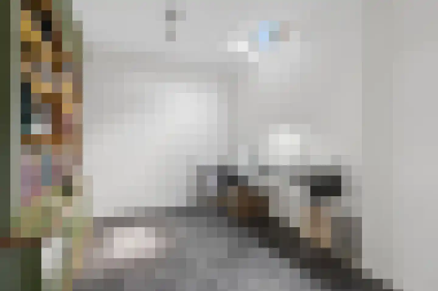 Laarweg 66 Harskamp thumbnail 30