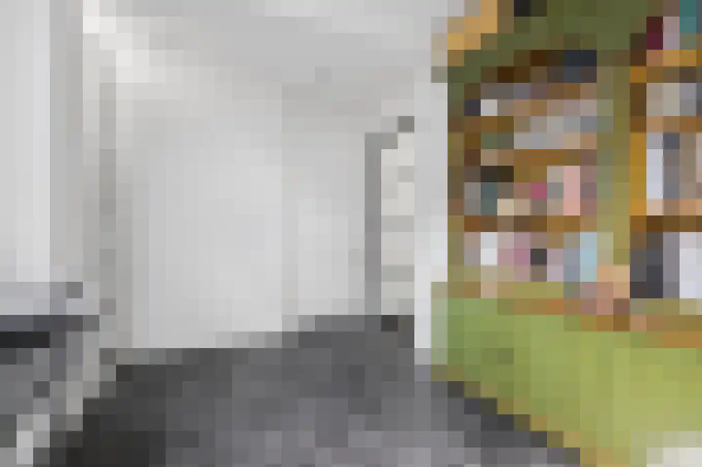 Laarweg 66 Harskamp thumbnail 33