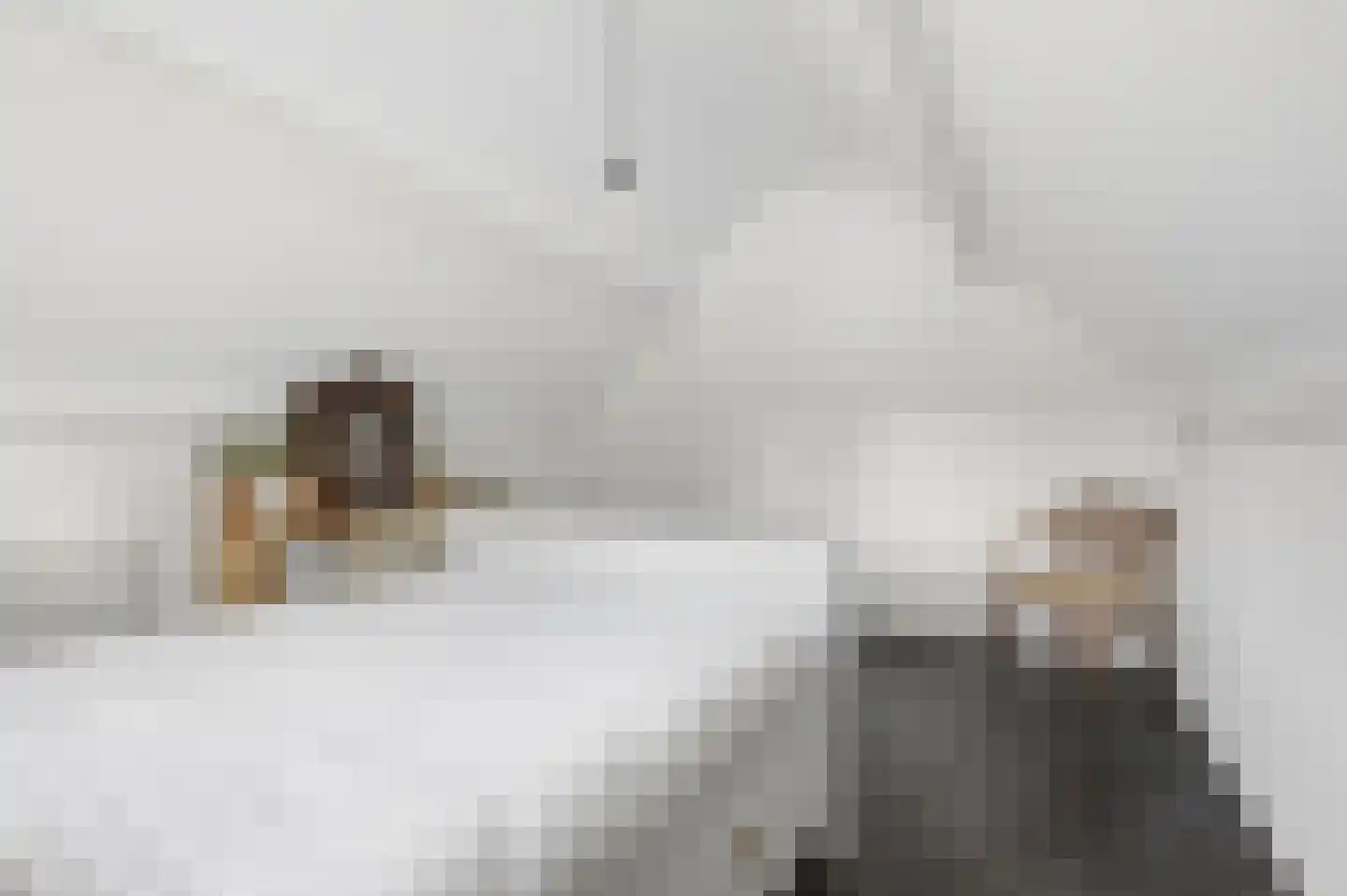 Laarweg 66 Harskamp thumbnail 37