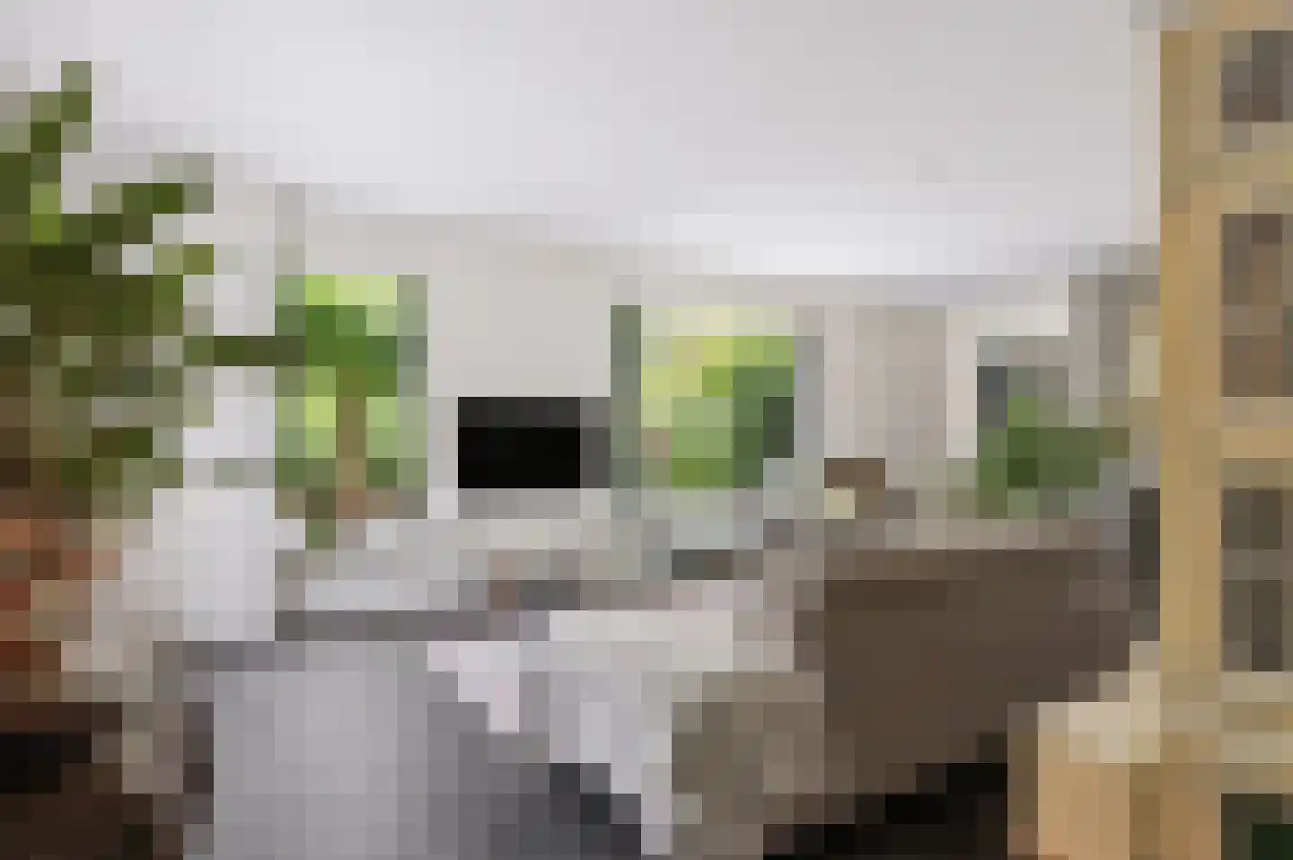 Laarweg 66 Harskamp thumbnail 4