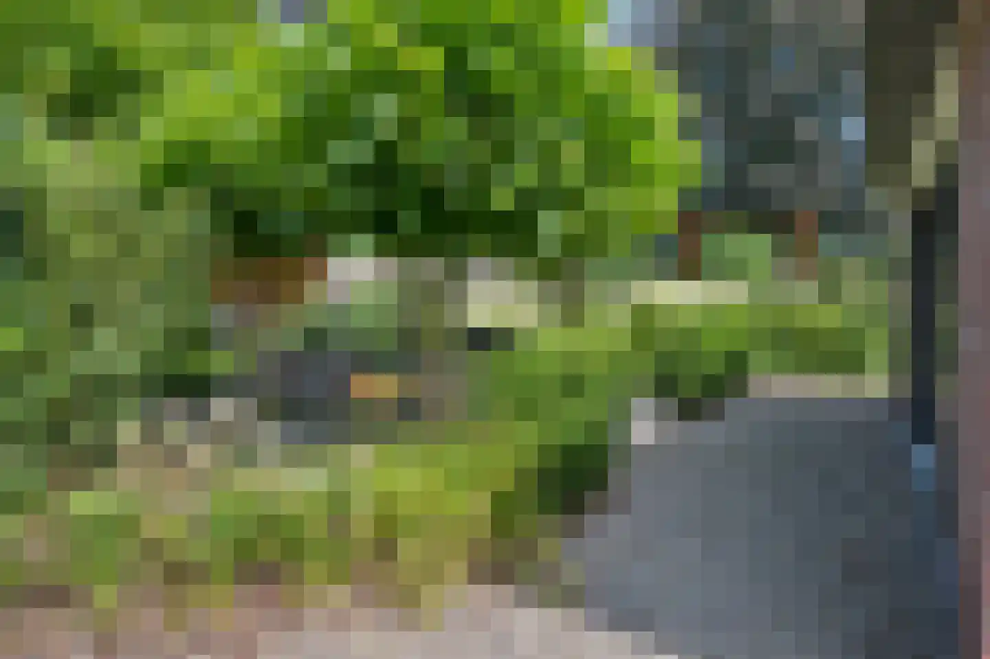 Laarweg 66 Harskamp thumbnail 44