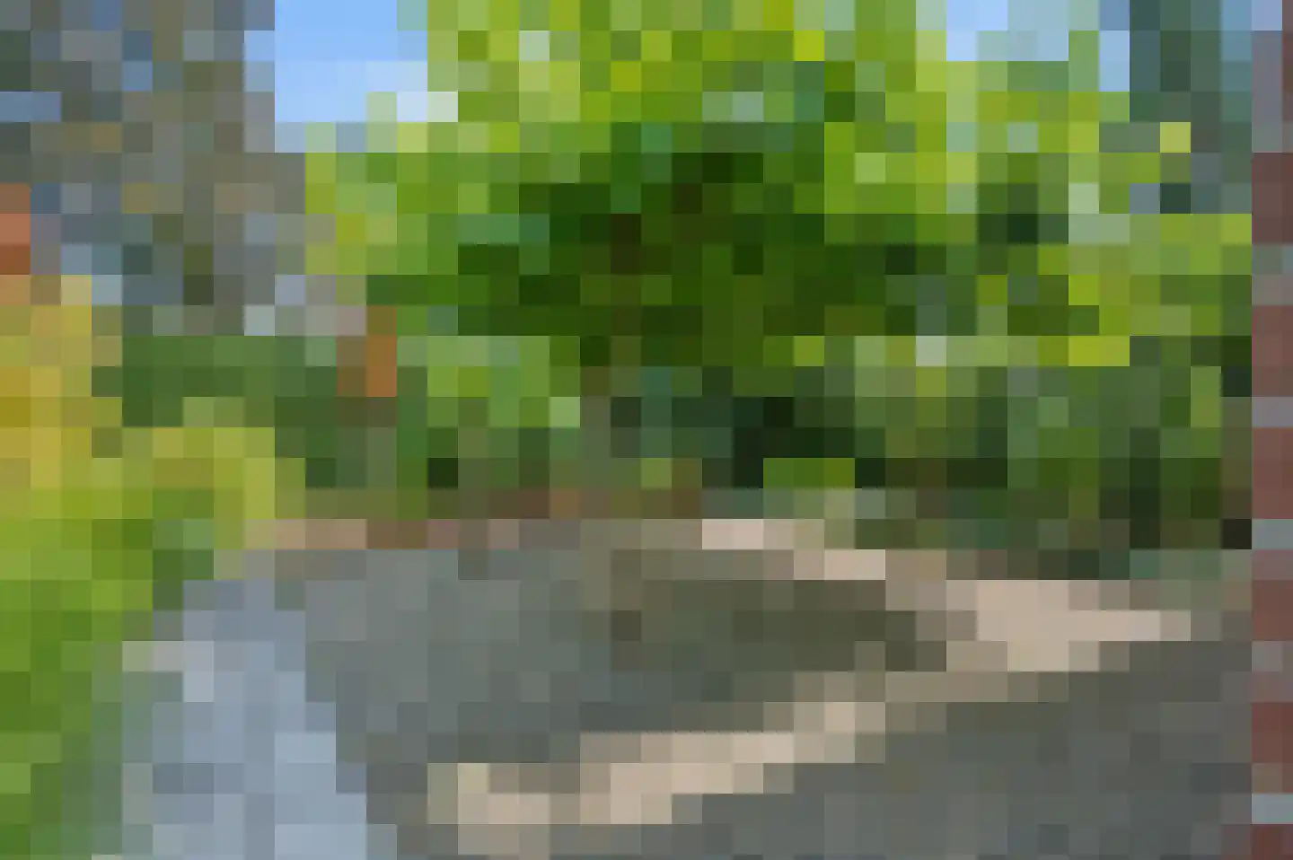 Laarweg 66 Harskamp thumbnail 46