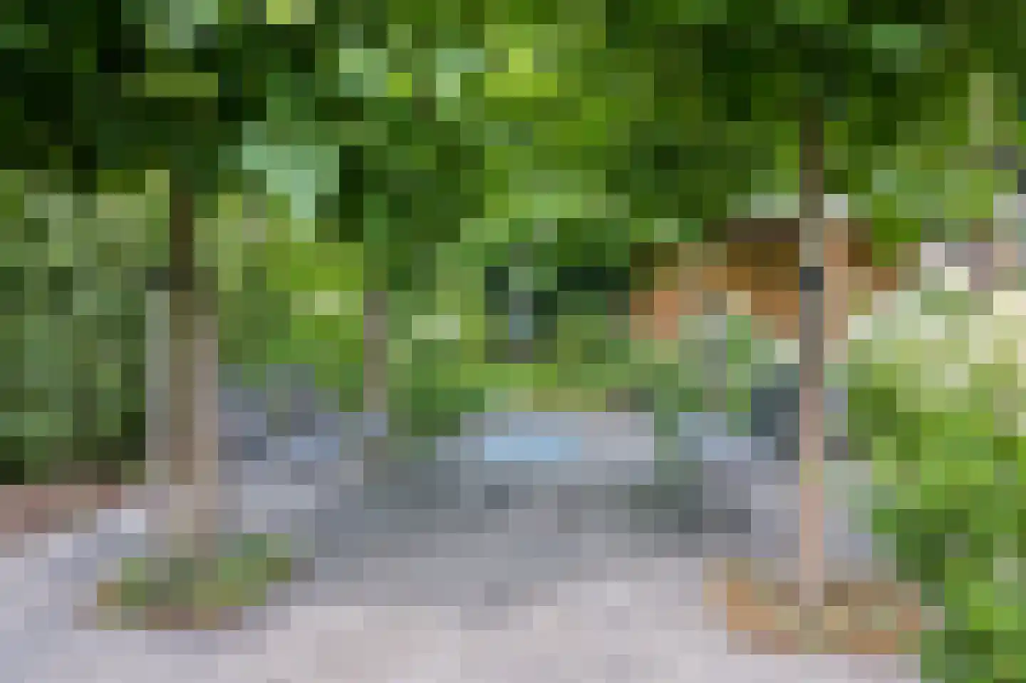 Laarweg 66 Harskamp thumbnail 47