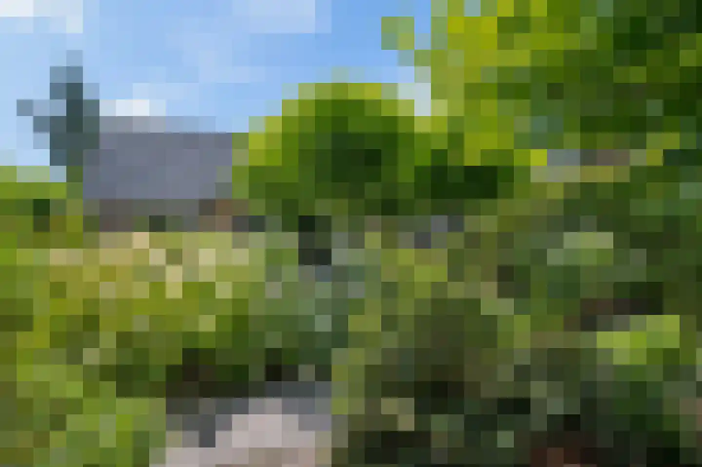 Laarweg 66 Harskamp thumbnail 49