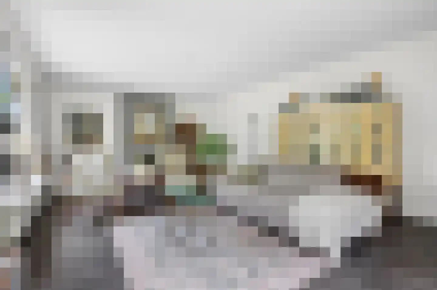 Laarweg 66 Harskamp thumbnail 5