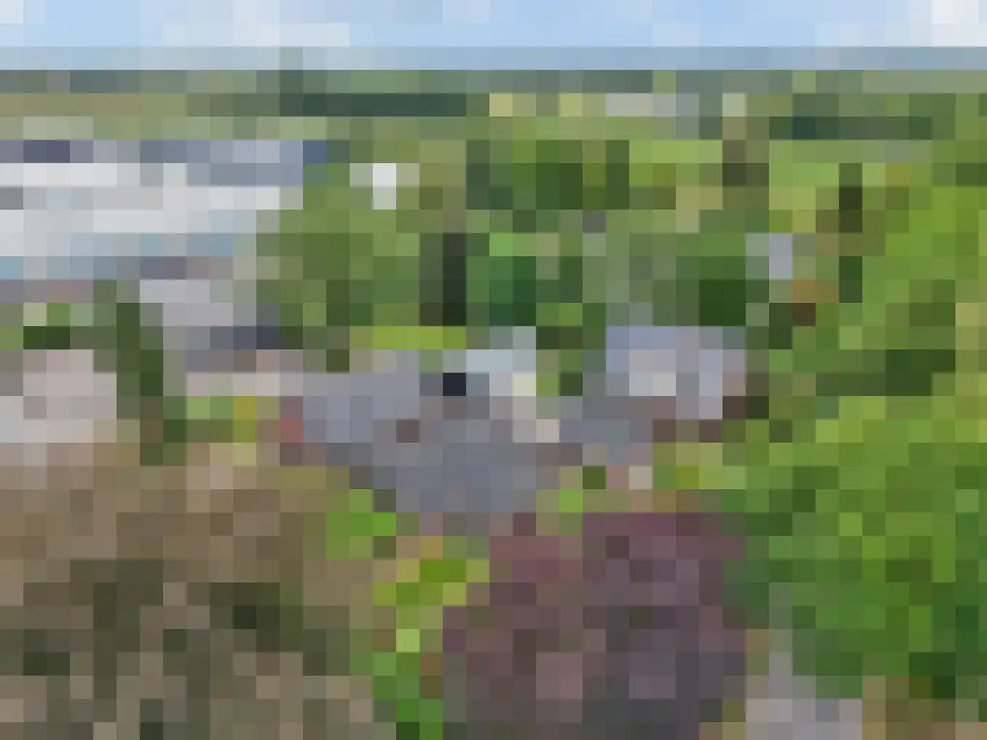 Laarweg 66 Harskamp thumbnail 55