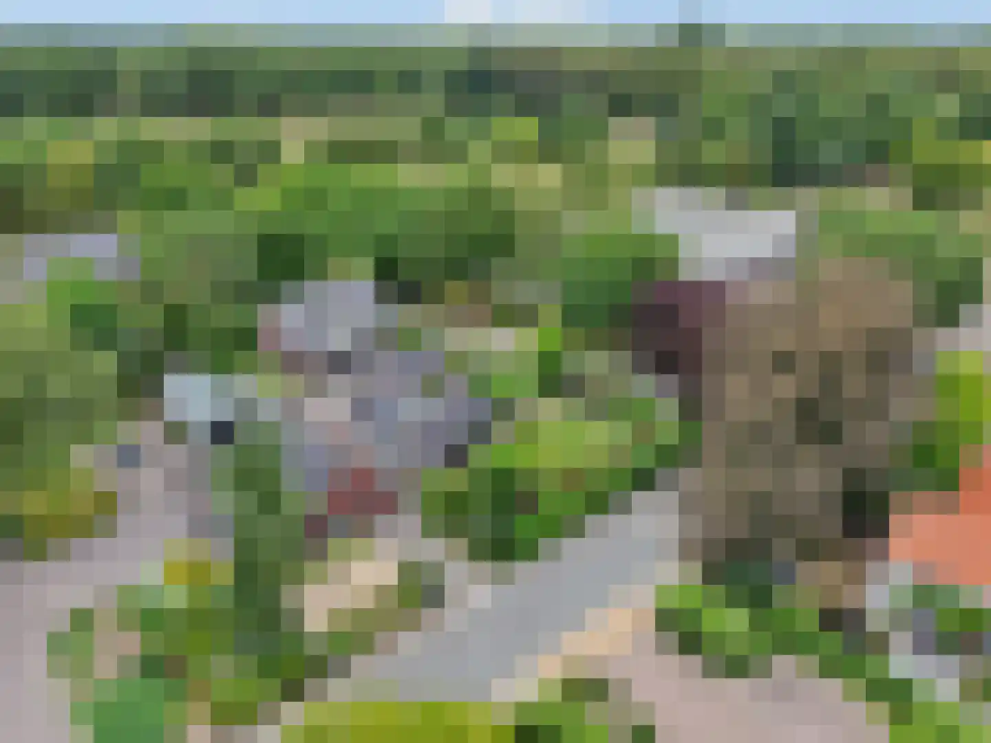 Laarweg 66 Harskamp thumbnail 56